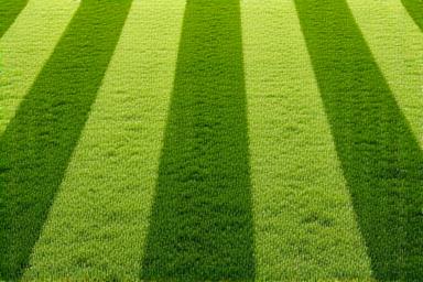 Freshly mowed lawn with stripe patterns